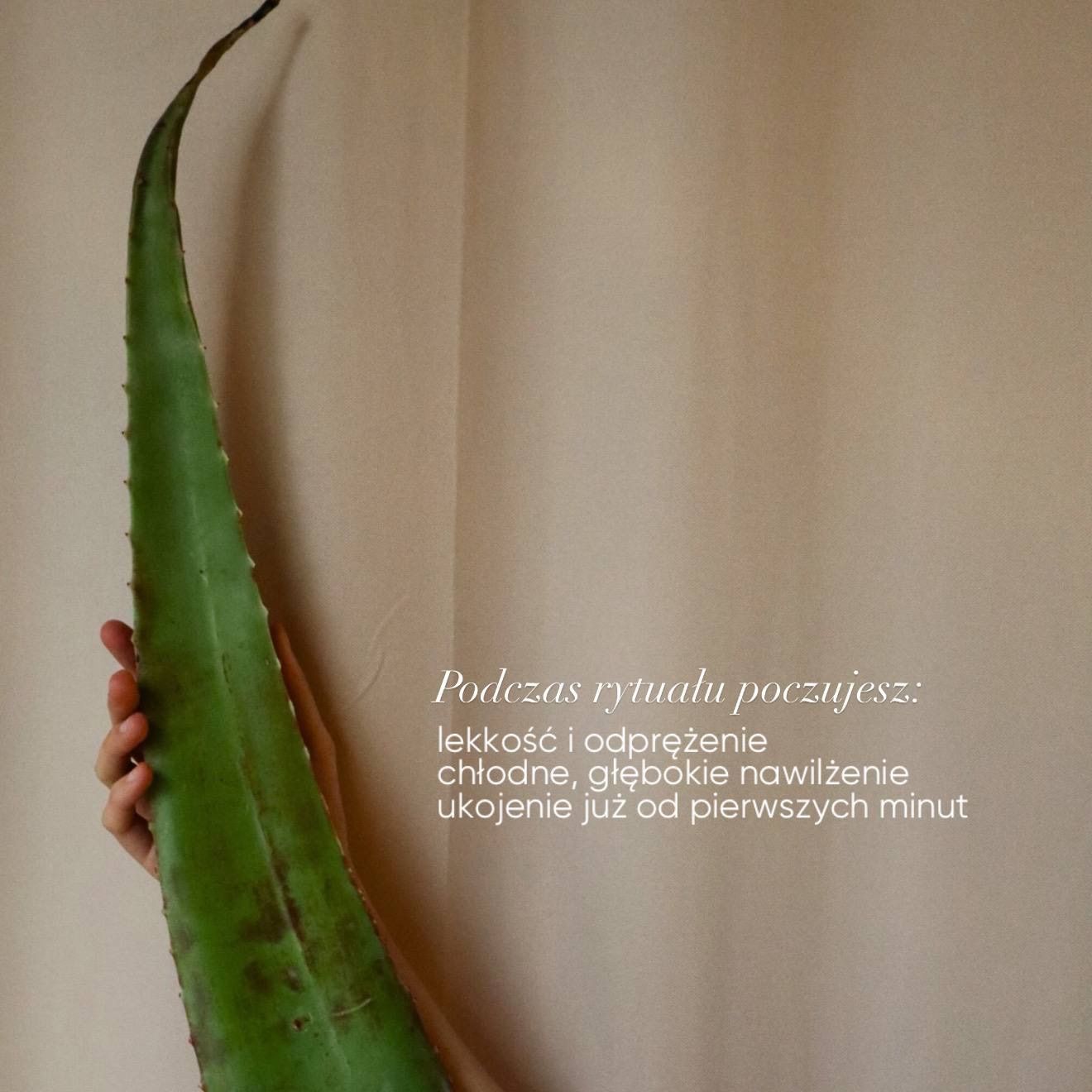 Aloe Ritual
